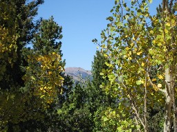 Baldy from Thunder Ridge Camp